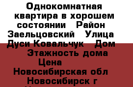Однокомнатная квартира в хорошем состоянии › Район ­ Заельцовский › Улица ­ Дуси Ковальчук › Дом ­ 252 › Этажность дома ­ 16 › Цена ­ 13 000 - Новосибирская обл., Новосибирск г. Недвижимость » Квартиры аренда   